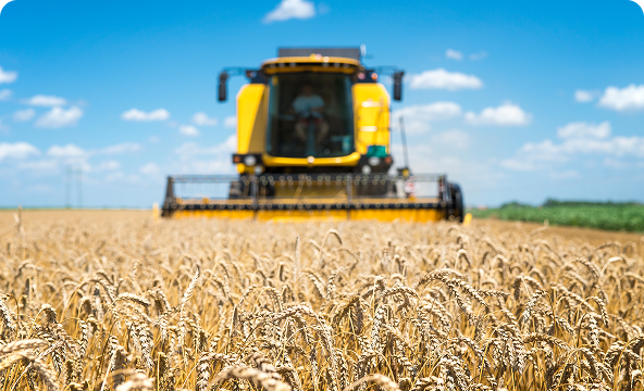 Crédit de cultures saisonnières